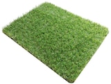 CARRE GAZON ARTIFICIEL 1X1M à 14,97 € dans le catalogue Netto