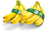 Bio Bananen im Angebot bei Netto Marken-Discount in Altenburg Bio Bananen Angebote von BioBio bei Netto Marken-Discount Altenburg für 1,69 €