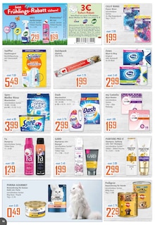 Waschmittel im aktuellen K+K - Klaas & Kock Prospekt (Dortmund) Waschmittel im K+K - Klaas & Kock Prospekt "Wenn Lebensmittel, dann K+K" mit 12 Seiten (Dortmund)