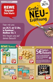 Aktueller REWE Supermarkt Prospekt in Radebeul und Umgebung, "Dein Markt" mit 36 Seiten, 24.11.2025 - 29.11.2025