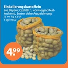 V-Markt Günzburg Prospekt mit  im Angebot für 4,99 €