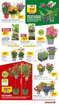 Rindenmulch Angebot im toom Baumarkt Prospekt, gültig von 12.07.2025 bis 18.07.2025 Rindenmulch Angebot im aktuellen toom Baumarkt Prospekt auf Seite 3