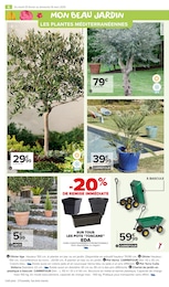 Offre Plante En Pot dans le catalogue Carrefour Market du moment à la page 6