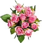 Aktuelle Pflanzen Angebote bei Netto Marken-Discount in Mönchengladbach Aktuelles Moosrosen Angebot bei Netto Marken-Discount in Mönchengladbach ab 3,50 €