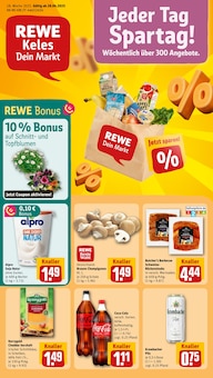 REWE Prospekt Dein Markt mit 18 Seiten