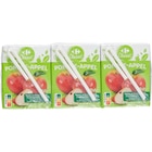 Briquette de jus - CARREFOUR CLASSIC' en promo chez Carrefour Briquette de jus - CARREFOUR CLASSIC' dans le catalogue Carrefour