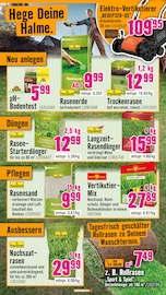 Saatgut im Hornbach Prospekt in Bremerhaven Aktueller Hornbach Prospekt mit Saatgut, "Du willst es. Dann bau es.", Seite 17