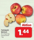 Tafeläpfel Wellant bei nah&frisch im Neustadt Prospekt für 1,44 €