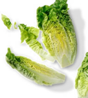 Dtsch. Mini-Romanasalat Angebote bei Kaufland Bremen für 0,79 €