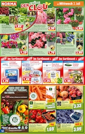 Aktueller Norma Prospekt mit Orchidee, "Mehr fürs Geld", Seite 13