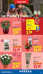Prix et réduction Meuble Salon dans le prospectus Lidl en cours Offre Meuble Salon dans le catalogue Lidl du moment à la page 29