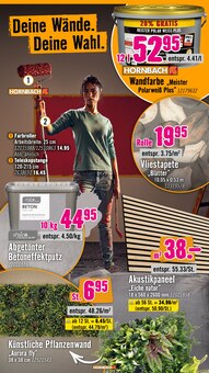 Wandfarbe im Hornbach Prospekt "Ran ans PROJEKT. Es ist schon Pflanzzeit." mit 36 Seiten (Offenbach (Main))