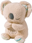 Schlummer-Koala im aktuellen Rossmann Prospekt für 16,99 €