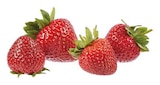 Erdbeeren Angebote von LS bei EDEKA Lingen für 3,99 €