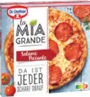 EDEKA Hohenvier - La Mia Grande, La Mia Familia oder Ristorante glutenfrei Angebot im Prospekt La Mia Grande, La Mia Familia oder Ristorante glutenfrei bei EDEKA im Hohenvier Prospekt für 3,49 €