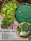 Angebot im Hornbach Kempten (AllgĂ€u) Prospekt Hornbach Kempten (AllgĂ€u) Prospekt mit im Angebot fĂŒr 1,99 âŹ
