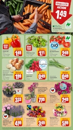 REWE Paprika im Prospekt REWE Paprika im Prospekt