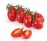 Aktuelle Tomaten Angebote bei Dehner Garten-Center in Duisburg Aktuelles EIERTOMATE Angebot bei Dehner Garten-Center in Duisburg ab 3,49 €