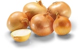 Aktuelles Zwiebel Angebot bei Netto Marken-Discount in Würzburg ab 1,69 €