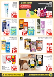 Duschgel im Marktkauf Prospekt Top Angebote auf S. 19