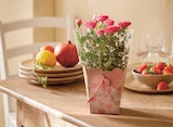 Rosier pot 13 cm dans un sac - Intermarché Rosier pot 13 cm dans un sac à 7,99 € dans le catalogue Intermarché