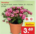 Aktuelles Pernettya Angebot bei Netto Marken-Discount in Jena ab 3,49 €