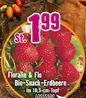 Hornbach Mönchengladbach - Bio-Snack-Erdbeere Angebot im Prospekt Bio-Snack-Erdbeere bei Hornbach im Mönchengladbach Prospekt für 1,99 €