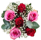 Kaufland Hohenseeden - Rosen-Eukalyptusstrauß Angebot im Prospekt Rosen-Eukalyptusstrauß bei Kaufland im Hohenseeden Prospekt für 7,99 €