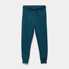Pantalon jogging regular 2 poches bleu canard garçon en promo chez La Halle Pantalon jogging regular 2 poches bleu canard garçon dans le catalogue La Halle