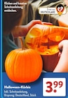 Halloween-Kürbis im Angebot bei ALDI SÜD in Köln Halloween-Kürbis Angebote bei ALDI SÜD Köln für 3,99 €