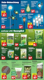 Thomas Philipps Rindendekor im Prospekt 