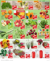 Aktueller Kaufland Prospekt mit Bio Lebensmittel, "Aktuelle Angebote", Seite 11
