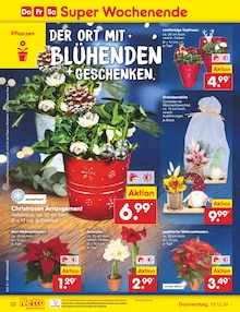 Zimmerpflanzen im Netto Marken-Discount Prospekt "Aktuelle Angebote" mit 56 Seiten (Bielefeld)