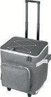 Einkaufstrolley mit Kühlfunktion von TOPMOVE im aktuellen Lidl Prospekt für 19,99 €