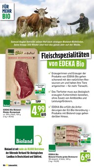 Bratwurst im aktuellen E center Prospekt (Karlsruhe) Bratwurst im E center Prospekt "Aktuelle Angebote" mit 77 Seiten (Karlsruhe)