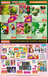 Jouet Angebote im Prospekt "Votre Discounter Régional" von Norma auf Seite 4