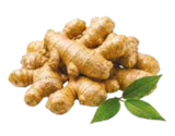 Ingwer lose von GO BIO für 3,99 € bei Netto mit dem Scottie im Angebot Ingwer lose von GO BIO im aktuellen Netto mit dem Scottie Prospekt