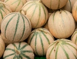 Melons charentais en promo chez Norma Melons charentais dans le catalogue Norma