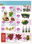 Plantes Et Fleurs Plantes Et Fleurs
