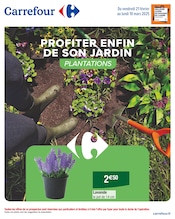 Catalogue Supermarchés Carrefour en cours à Étupes et alentours, "Profiter enfin de son jardin", 20 pages, 21/02/2025 - 10/03/2025