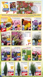 Aktueller CENTERSHOP Prospekt mit Bio, "Da geht was.", Seite 6