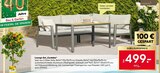 Lounge-Set Cordoba bei BayWa Bau- und Gartenmärkte im Prospekt "" für 499,00 €