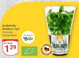 GLOBUS Fischbach - Basilikum Topf Angebot im Prospekt Basilikum Topf bei GLOBUS im Fischbach Prospekt für 1,29 €