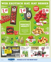 Aktueller Marktkauf Prospekt mit Erdbeeren, "Aktuelle Angebote", Seite 2