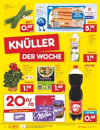 Blumenampel Angebot im aktuellen Netto Marken-Discount Prospekt auf Seite 2