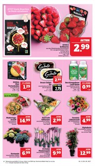 Schnittblumen im Marktkauf Prospekt "GANZ GROSS in kleinsten Preisen!" mit 44 Seiten (Erlangen)