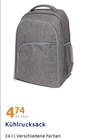 Kühlrucksack im Angebot bei Action in Monheim Kühlrucksack Angebote bei Action Monheim für 4,74 €