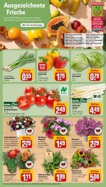 Ähnliche Stiefmütterchen Angebote im Prospekt "Dein Markt" von REWE in Bergisch Gladbach Ähnliche Angebote wie Stiefmütterchen im Prospekt "Dein Markt" auf Seite 7 von REWE in Bergisch Gladbach