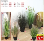 Kunstgras im Angebot bei Zimmermann in Nordhorn Kunstgras Angebote bei Zimmermann Nordhorn für 9,99 €