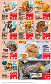 Aktueller Kaufland Prospekt mit Schweinefilet, "Aktuelle Angebote", Seite 25